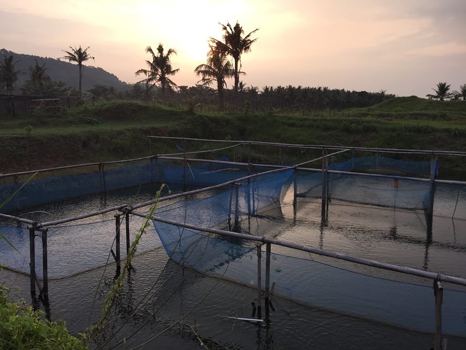 魚の養殖所