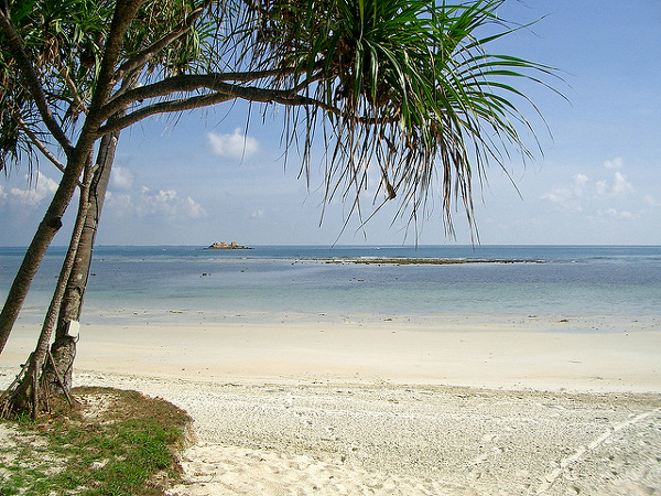 satomi6_bintan